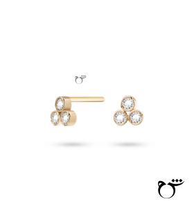 گوشواره انگوری