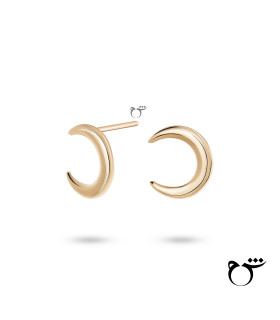 گوشواره ماه