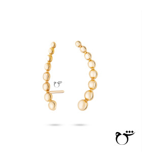 گوشواره گوارسه ریز و درشت