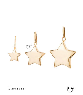 آویز ستاره دامله کوچک-گالری شیدا مجد